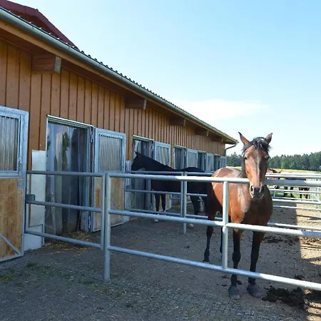 Reiterhof Hexental Holiday home *
